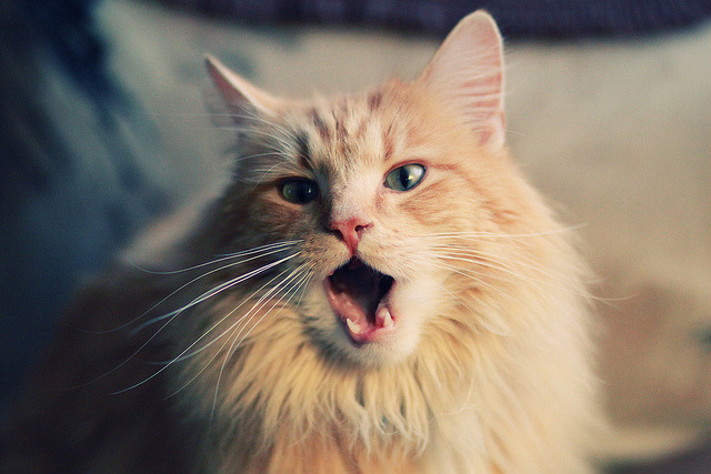 混合团体赛制引入乒乓球，赛场对抗更激烈，乒乓球混合团体最新赛制