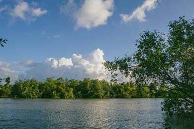 塞尔维亚女篮在欧洲锦标赛中全力拼搏，享受荣誉时刻，塞尔维亚女篮球