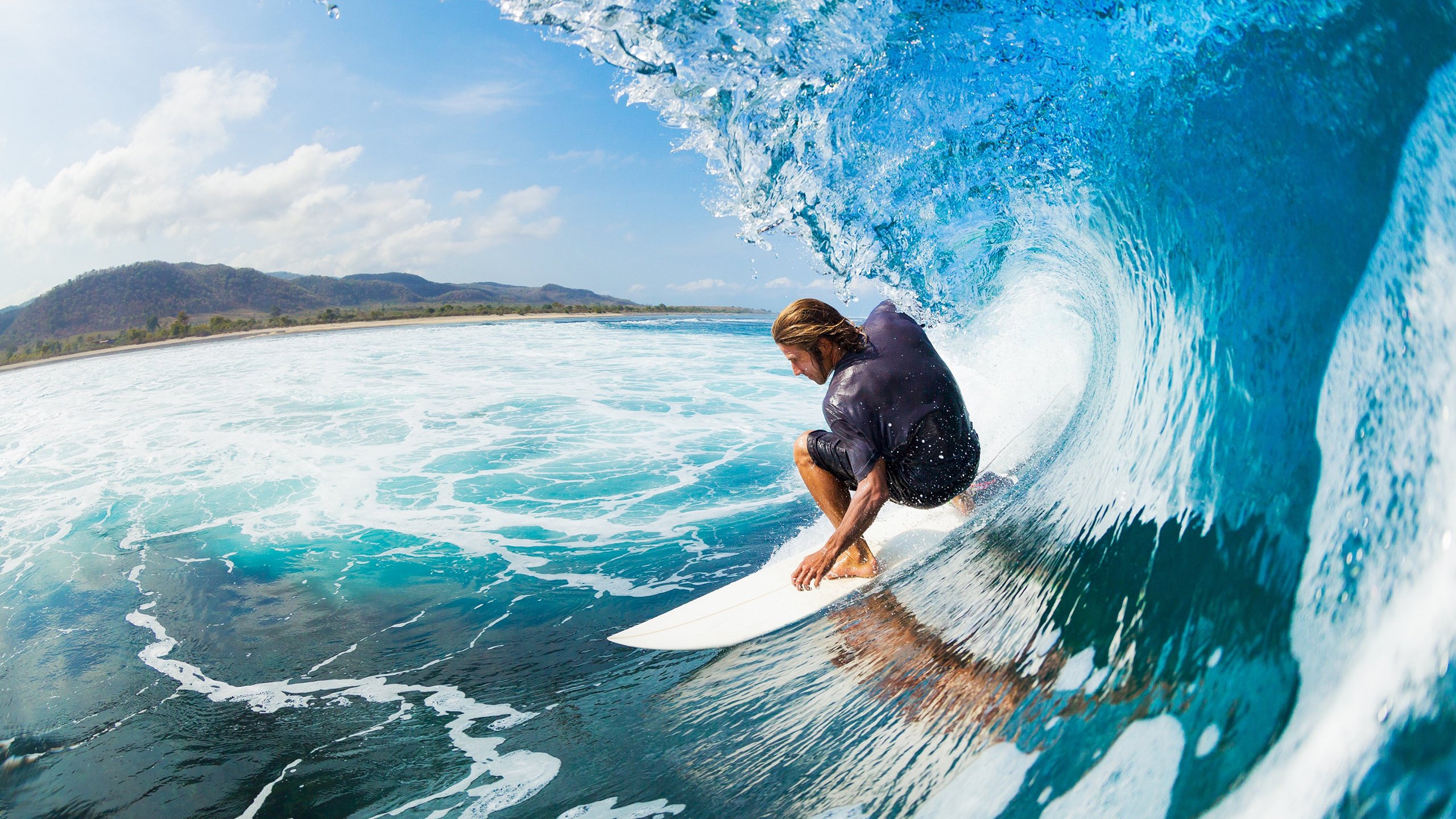 kaiyun·(中国)官方网站-“萨尔·巴赫的战术眼光：南非羚羊队的智囊人物”